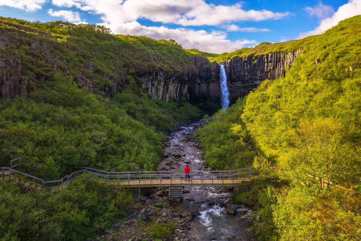 Svartifoss