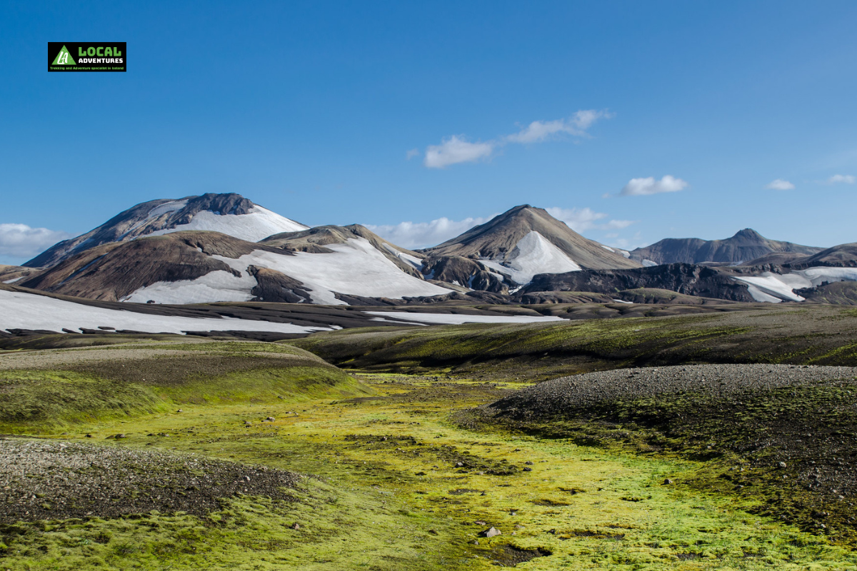 A scenic view of Hrafntinnusker in Iceland, showcasing rolling green and mossy plains in the foreground, leading up to rugged mountains capped with patches of snow. The area is part of a geothermal region, with the bright blue sky highlighting the contrasting landscapes. A "Local Adventures" logo is in the top left corner of the image.