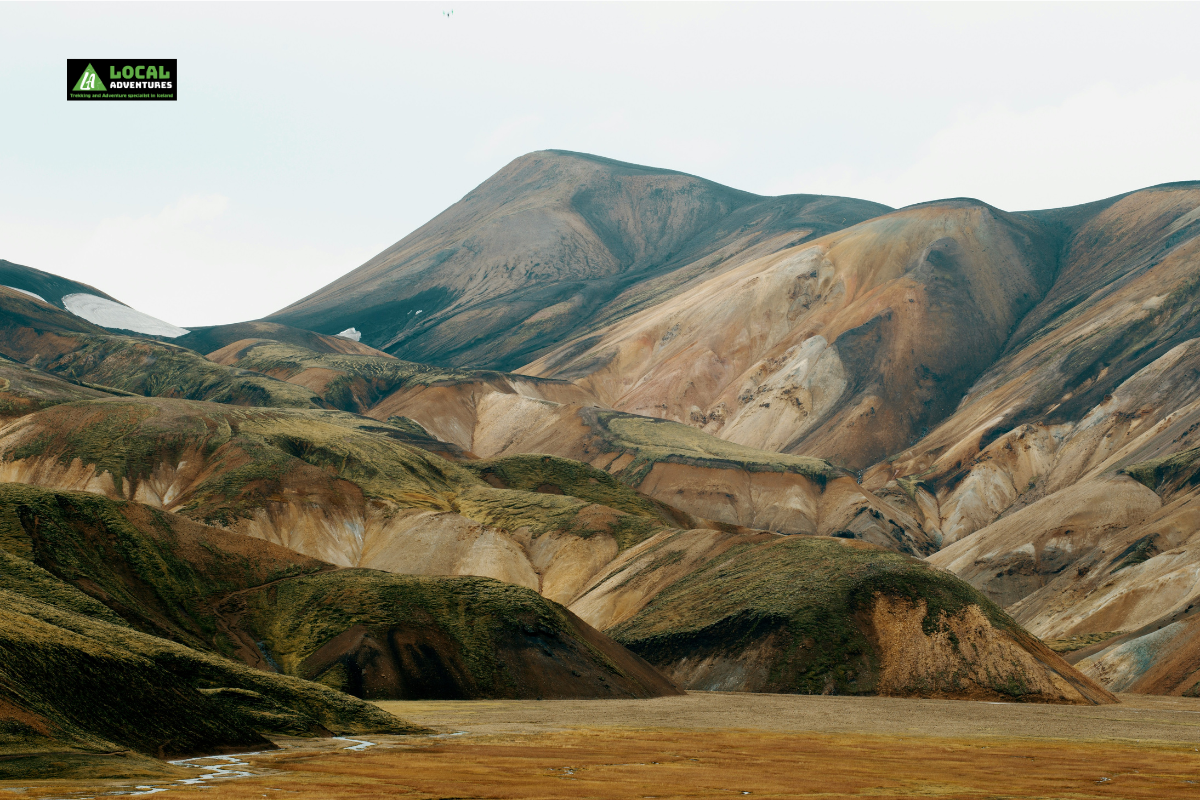 A sweeping view of Landmannalaugar in Iceland, showcasing vibrant, multicolored rhyolite mountains with layers of green, brown, and orange. The mountains have a unique texture and are dotted with patches of snow. A "Local Adventures" logo is in the top left corner of the image.