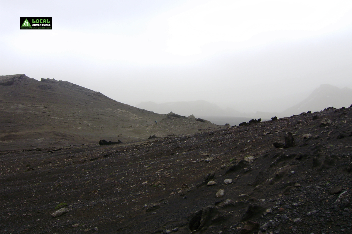 A stark, misty view of Mælifellssandur Black Desert in Iceland, characterized by a vast, rocky, and barren landscape. The dark volcanic sands and scattered rocks create a dramatic, almost otherworldly atmosphere under an overcast sky. A "Local Adventures" logo is in the top left corner of the image.